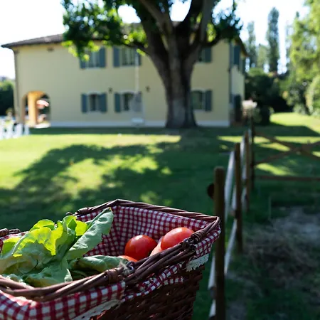 Elizabeth Country House, A Member Of Design * Minerbio